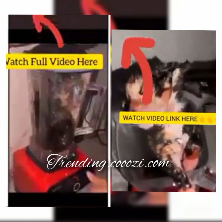 Cat In Blender Video