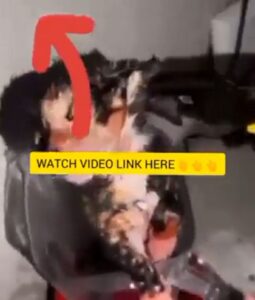 Cat In Blender Video